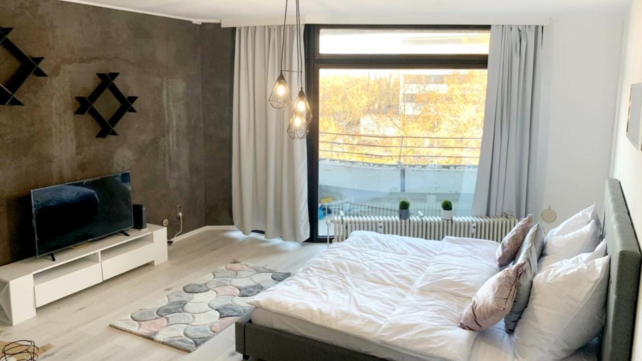 ✪ Beautiful Studio In Center With Amazing View ✪ 曼海姆 外观 照片